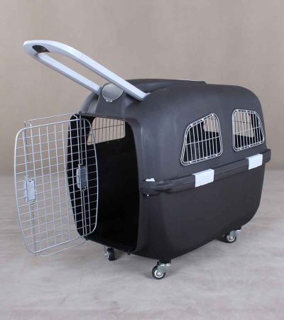 Pet Carrier with Handle 6093