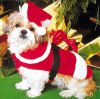 Christmas Outfit for small dog